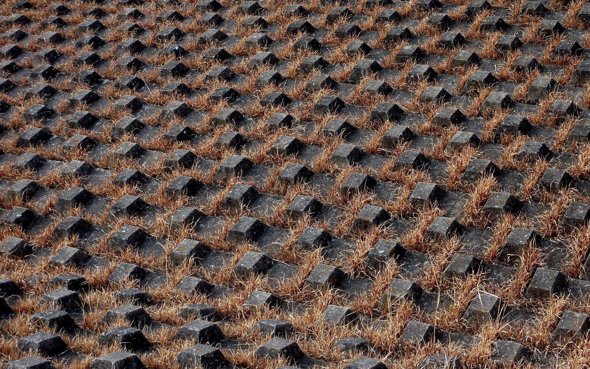 Patterned concrete blocks with grass