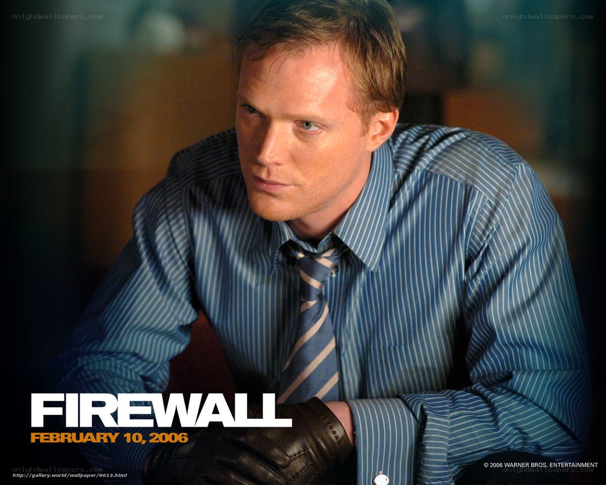 Paul Bettany in Firewall