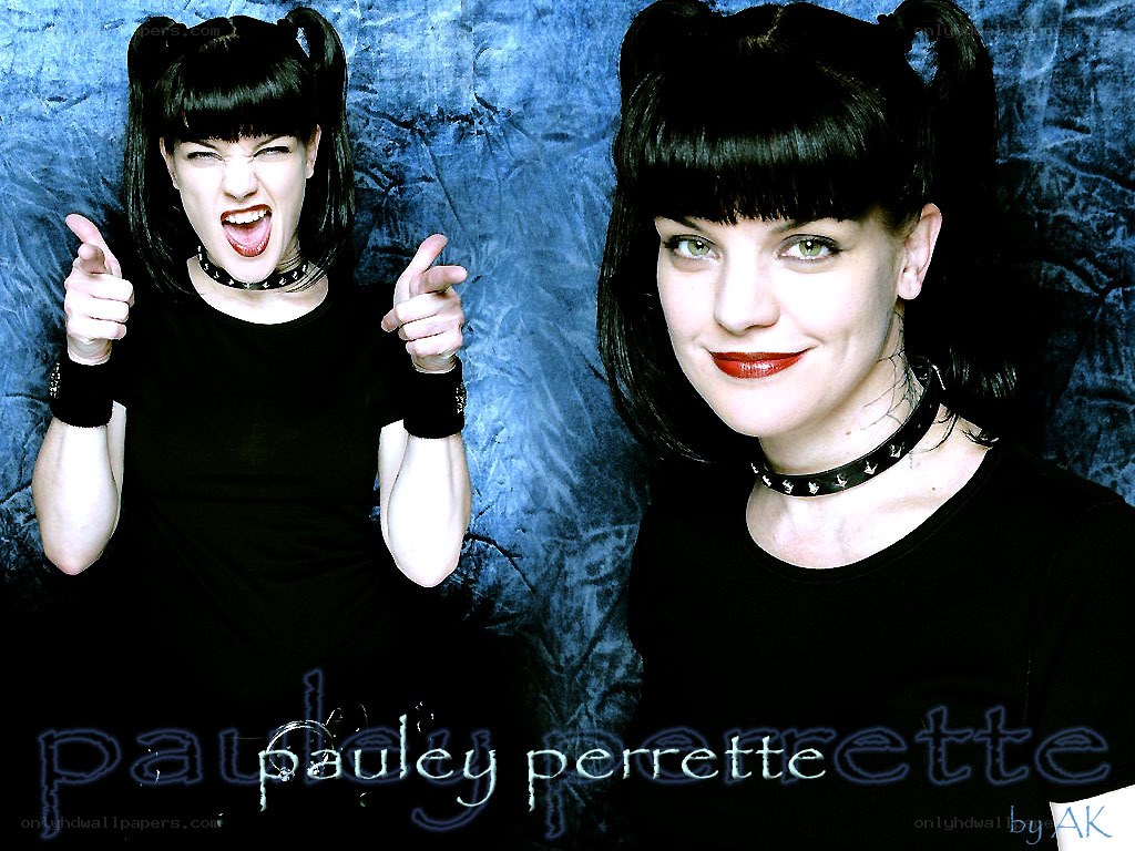 Pauley Perrette portrait