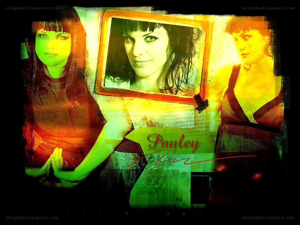 Pauley promotional collage