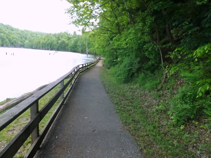Paved Path Along Lake — Green