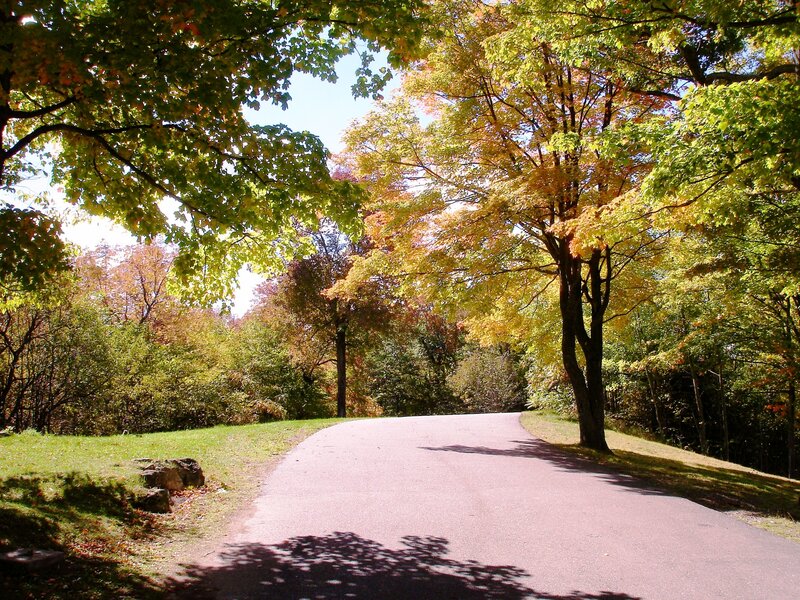 Paved Path in Autumn Forest — Green