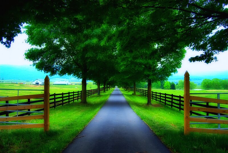 Paved Path in Farm