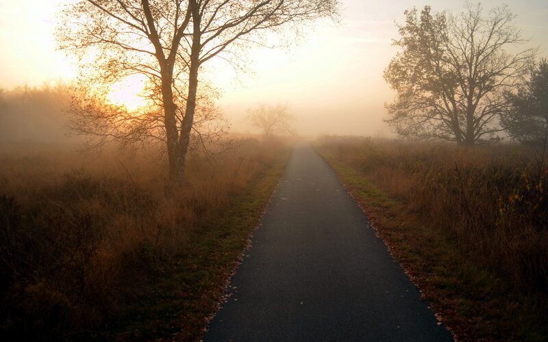 Paved Path in Fog