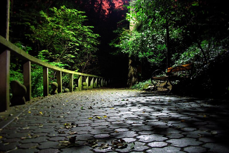 Paved Path in Forest — Green, Dark