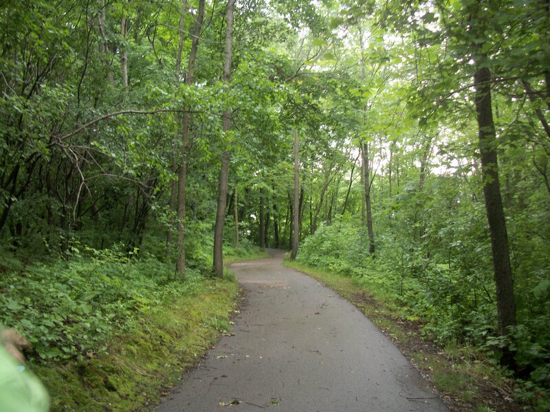 Paved Path in Forest — Green, Serene, Afternoon, Photograph