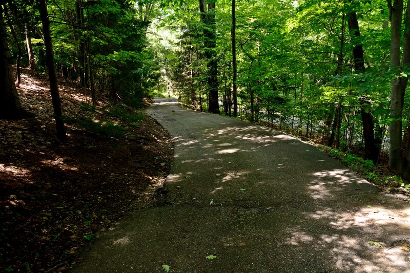 Paved Path in Forest — Green, Serene, Afternoon, Photograph, Trees, Shadows