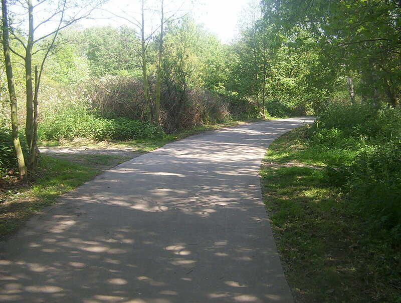 Paved Path in Forest — Green