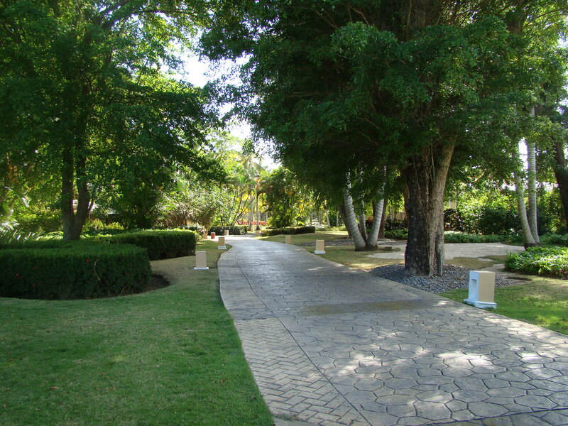 Paved Path in Garden — Green, Serene