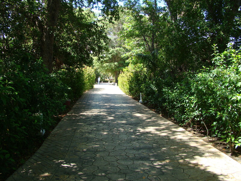 Paved Path in Garden — Green