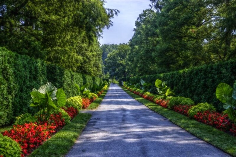 Paved Path in Garden