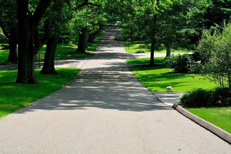 Paved Path in Park — Green, Serene, Afternoon