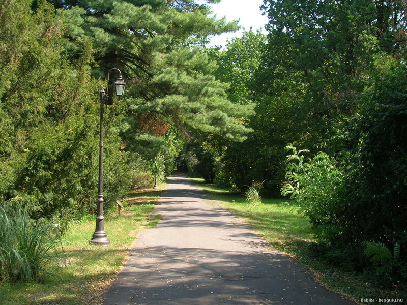 Paved Path in Park — Green, Serene