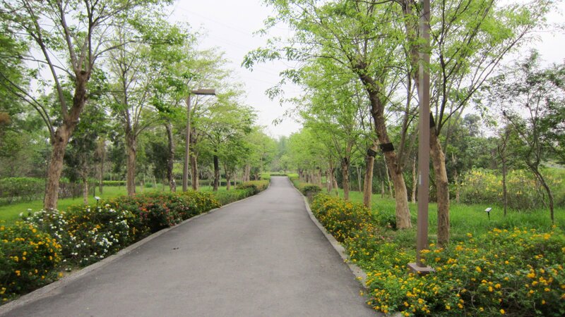 Paved Path in Park — Green