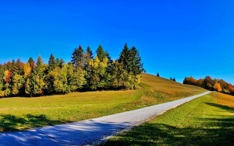 Paved Path on Hillside