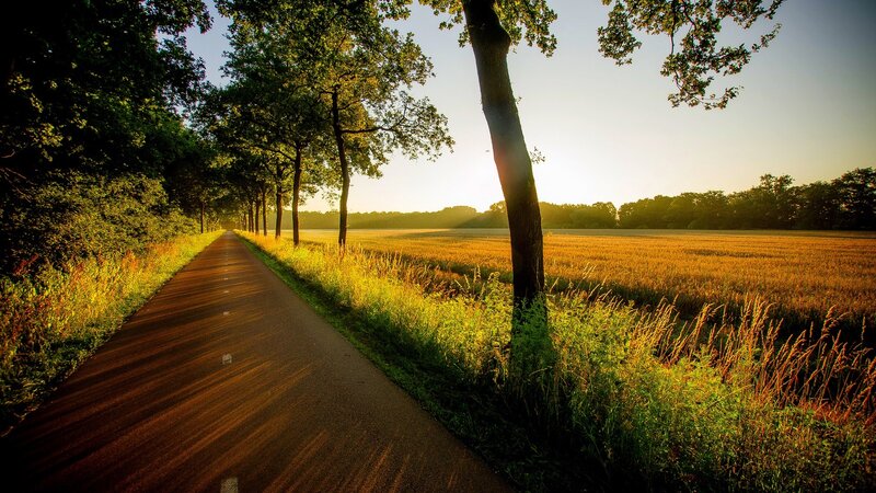 Paved Path Through Field