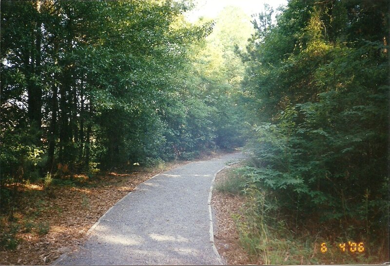 Paved path through forest