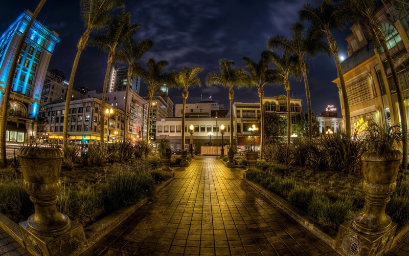 Paved Walkway at Night