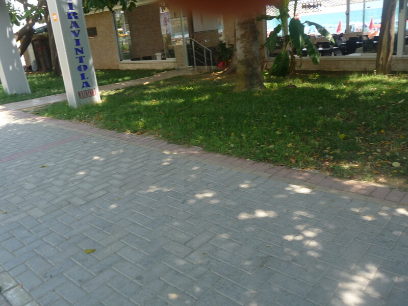 paved walkway near building