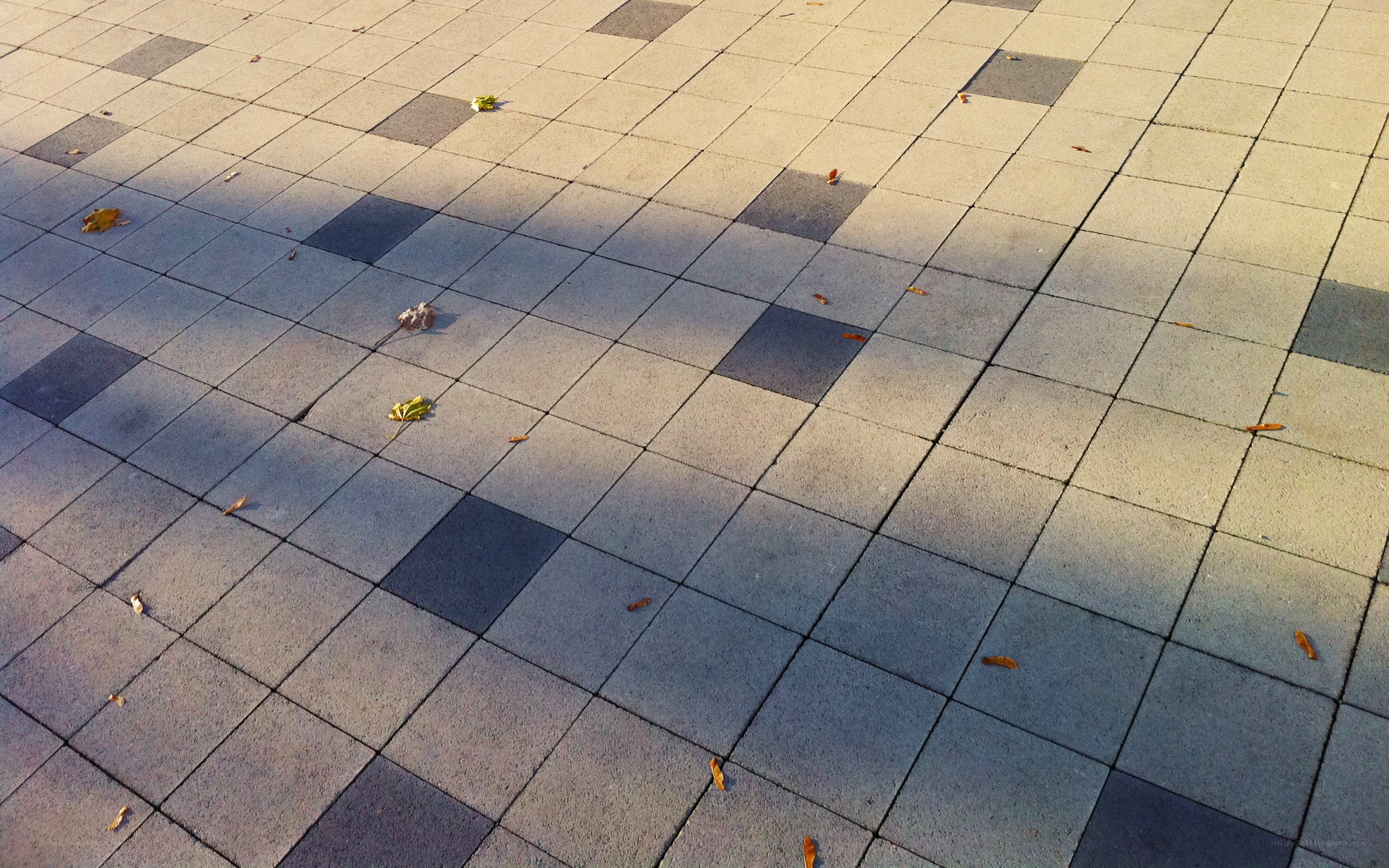 Paved walkway with scattered leaves