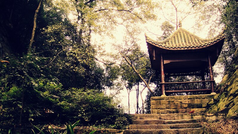Pavilion in a forest