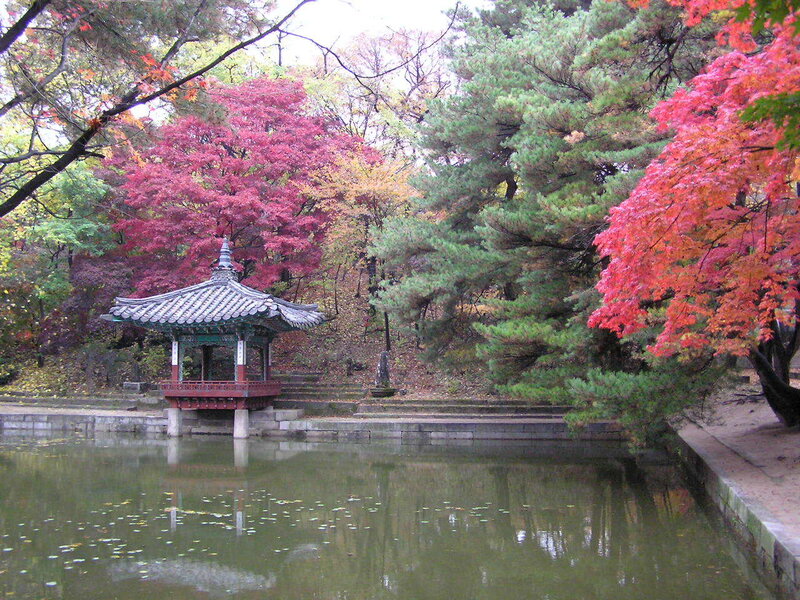 Pavilion in autumn garden