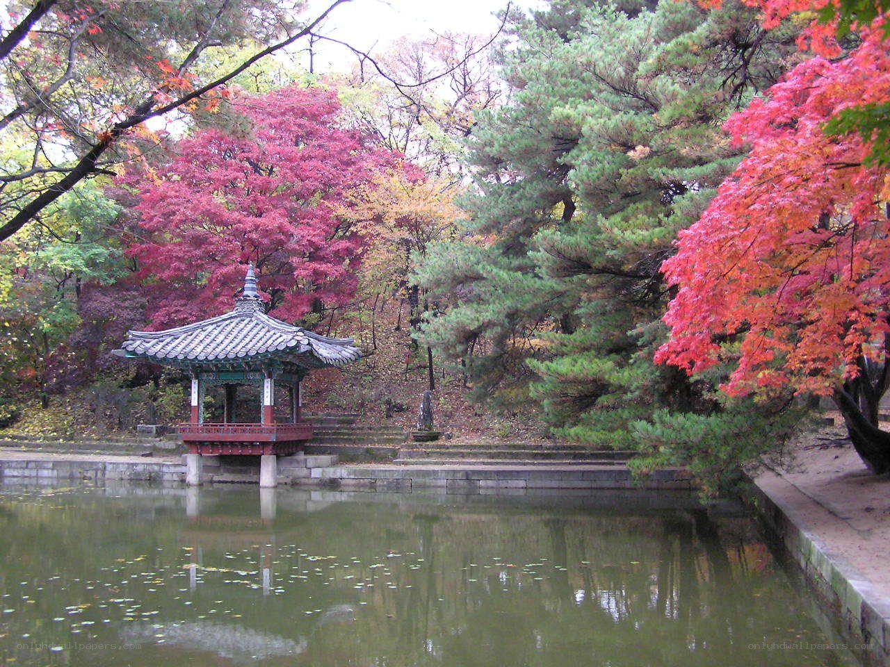 Pavilion in autumn garden