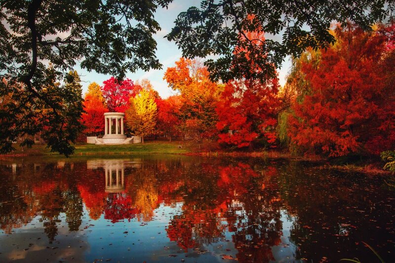 Pavilion in Autumn Park