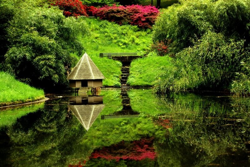 Pavilion in Pond