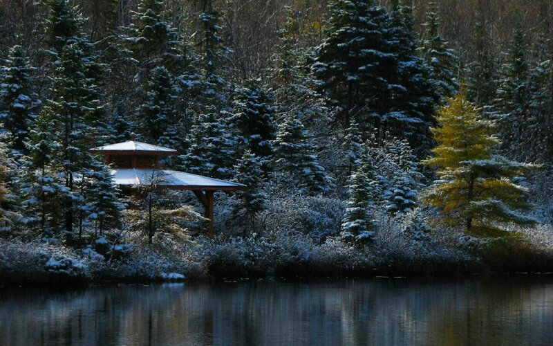 Pavilion in Snowy Forest