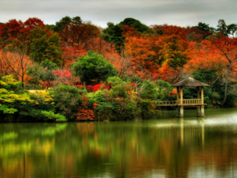 Pavilion on Lake — Green, Serene, Autumn