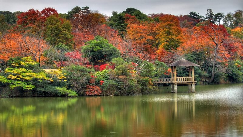 Pavilion on Lake — Green, Serene
