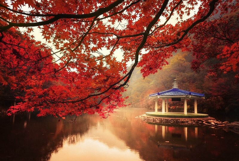 Pavilion on Lake — Red, Serene, Autumn