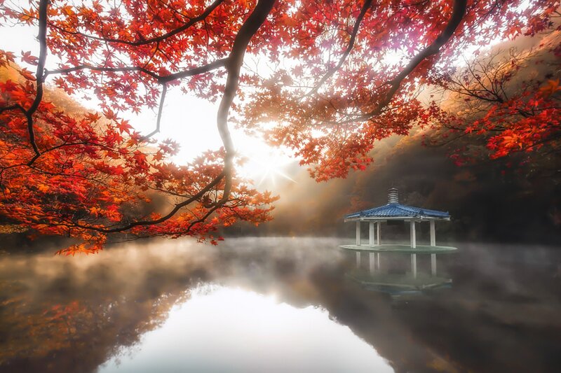 Pavilion on Lake — Red, Serene