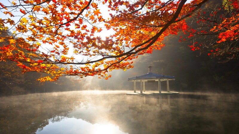 Pavilion on Misty Lake — Red