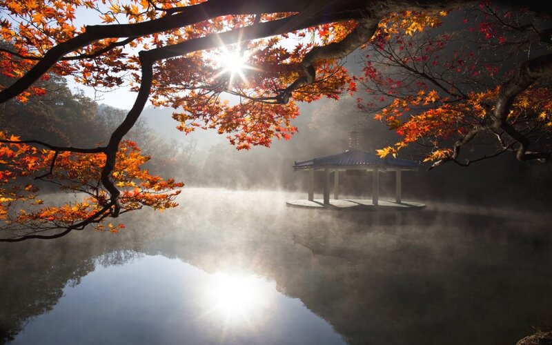 Pavilion on Misty Lake