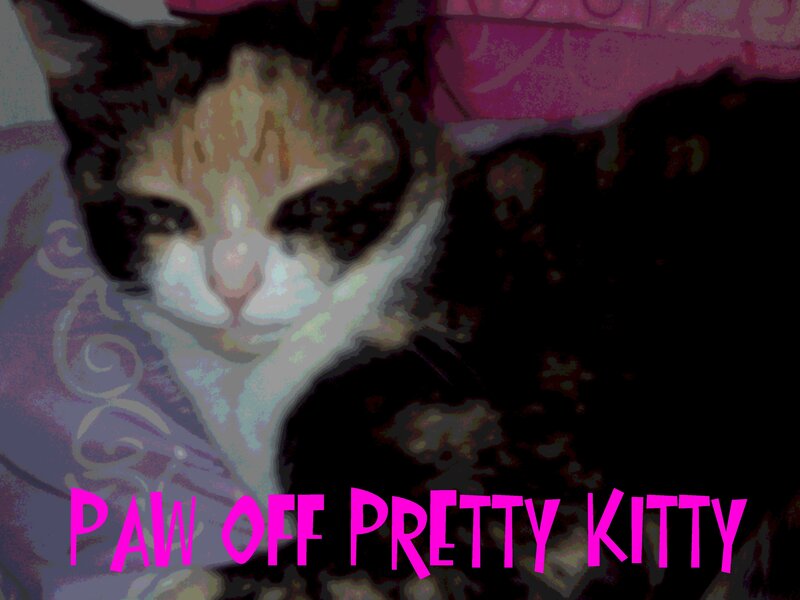 Paw Off Pretty Kitty