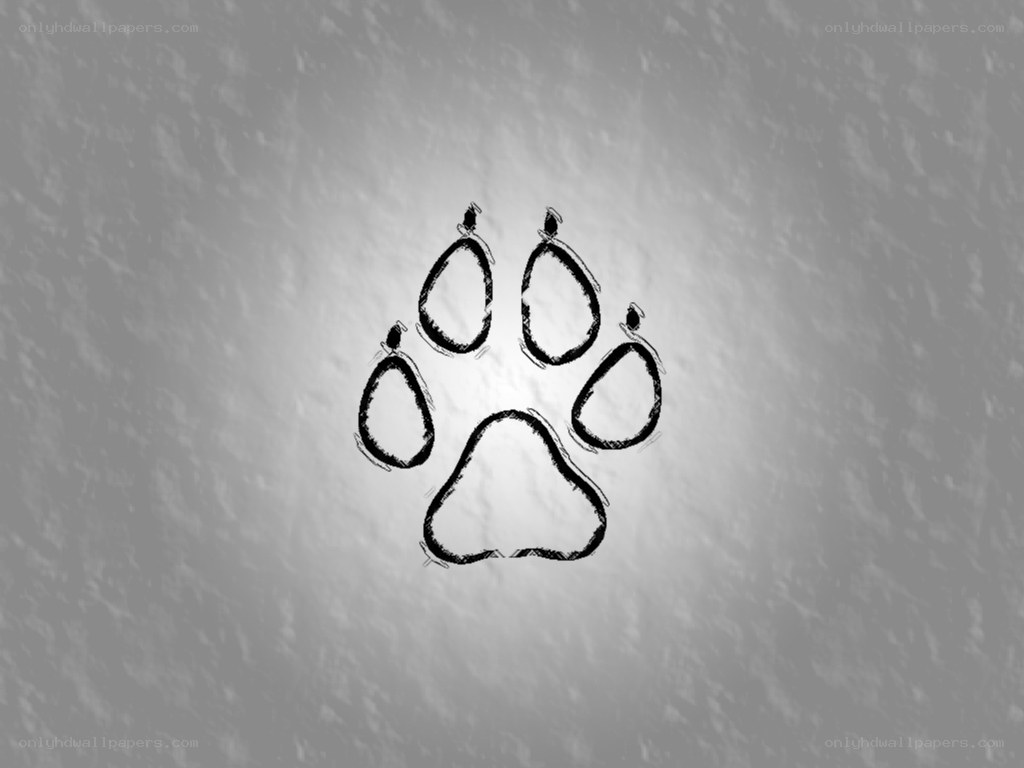 paw print drawing