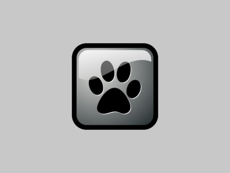 paw print icon