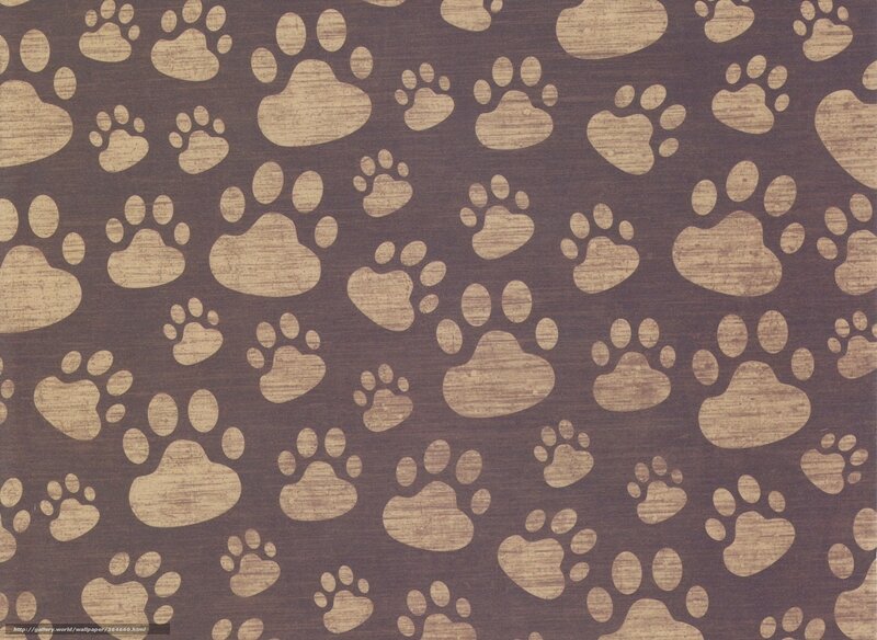 Paw Prints Pattern — Brown