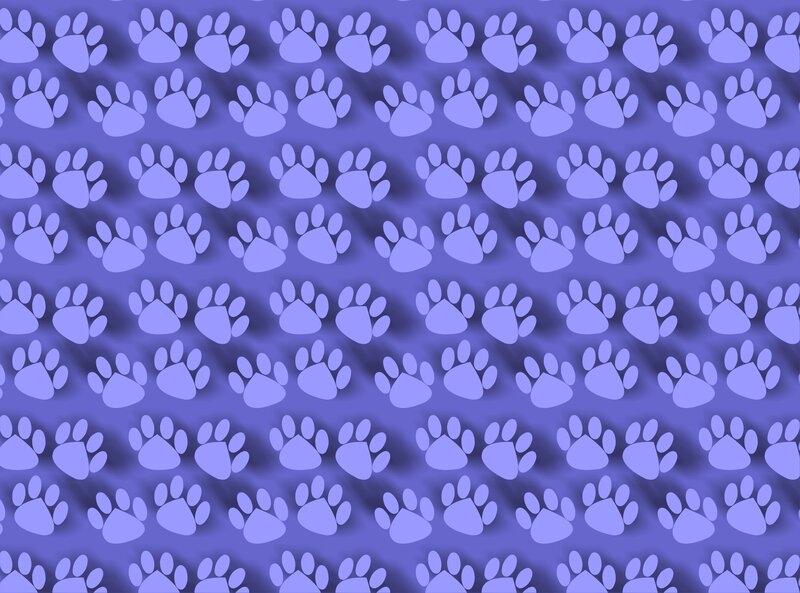 Paw Prints Pattern — Purple