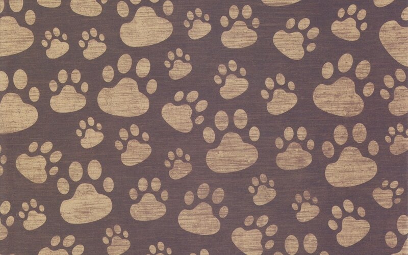 Paw Prints Pattern