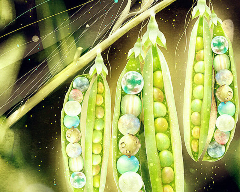 Pea Pods with Planets