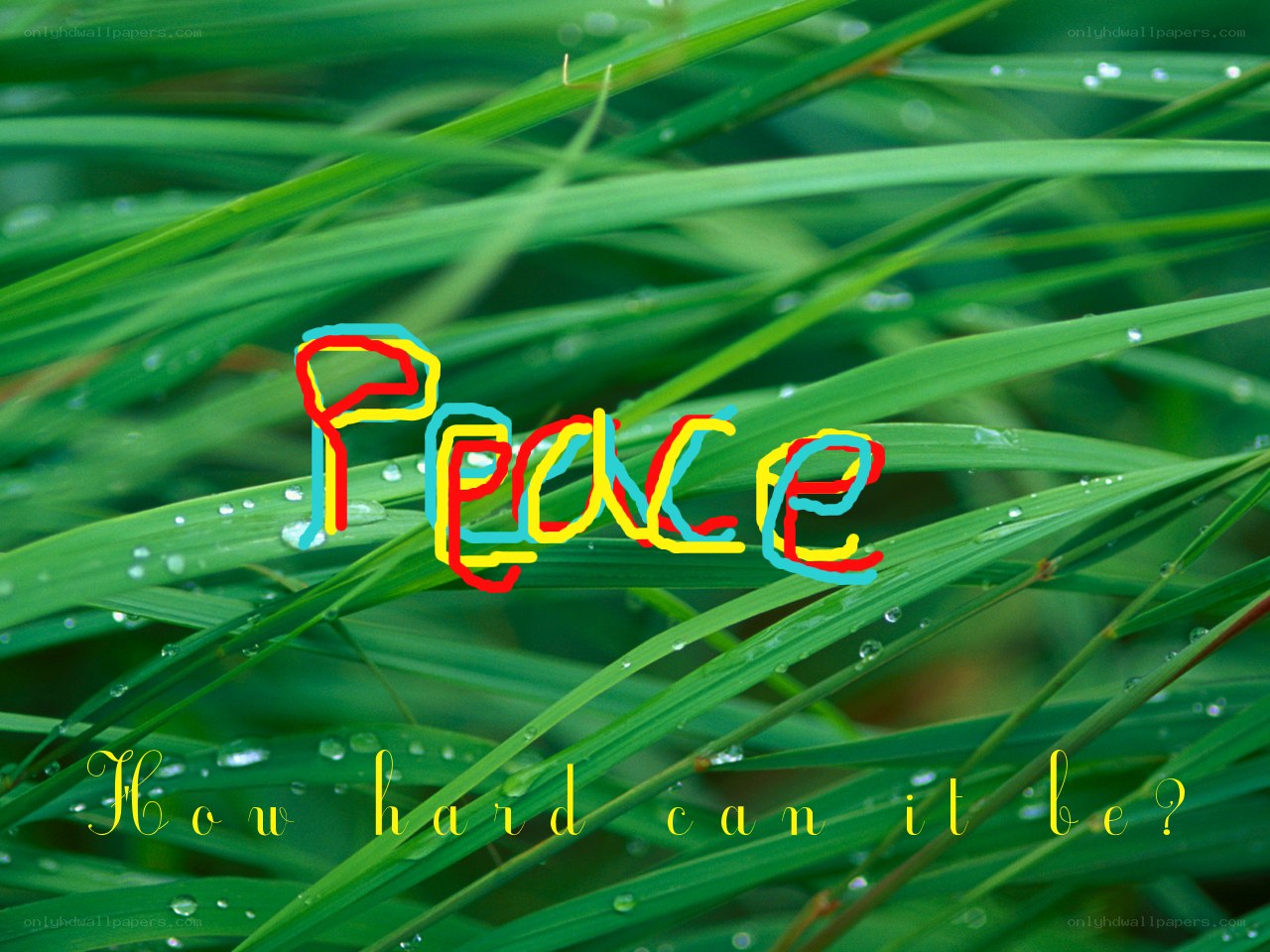 Peace on green grass