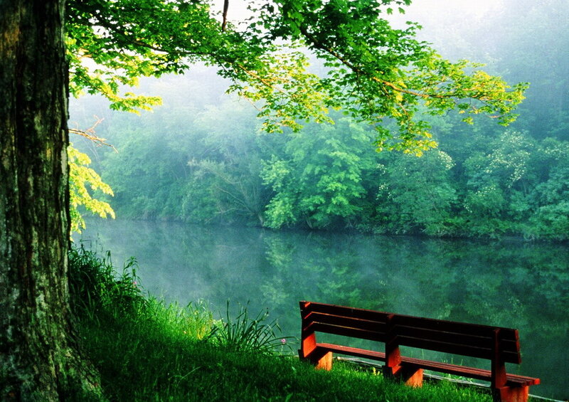 Peaceful bench by a misty lake