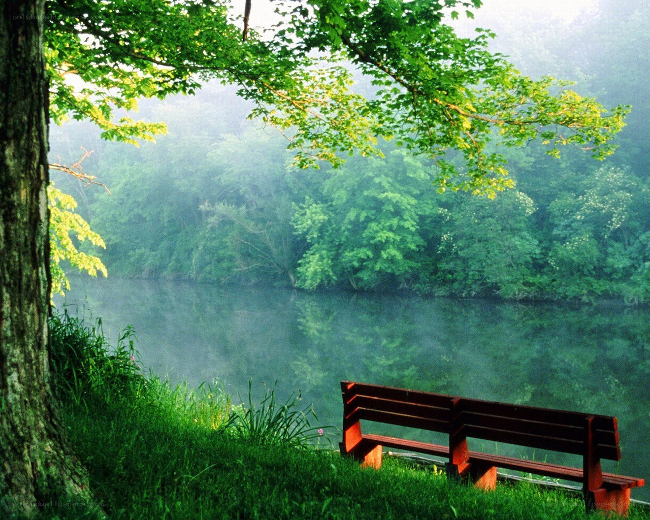 Peaceful bench by a misty lake