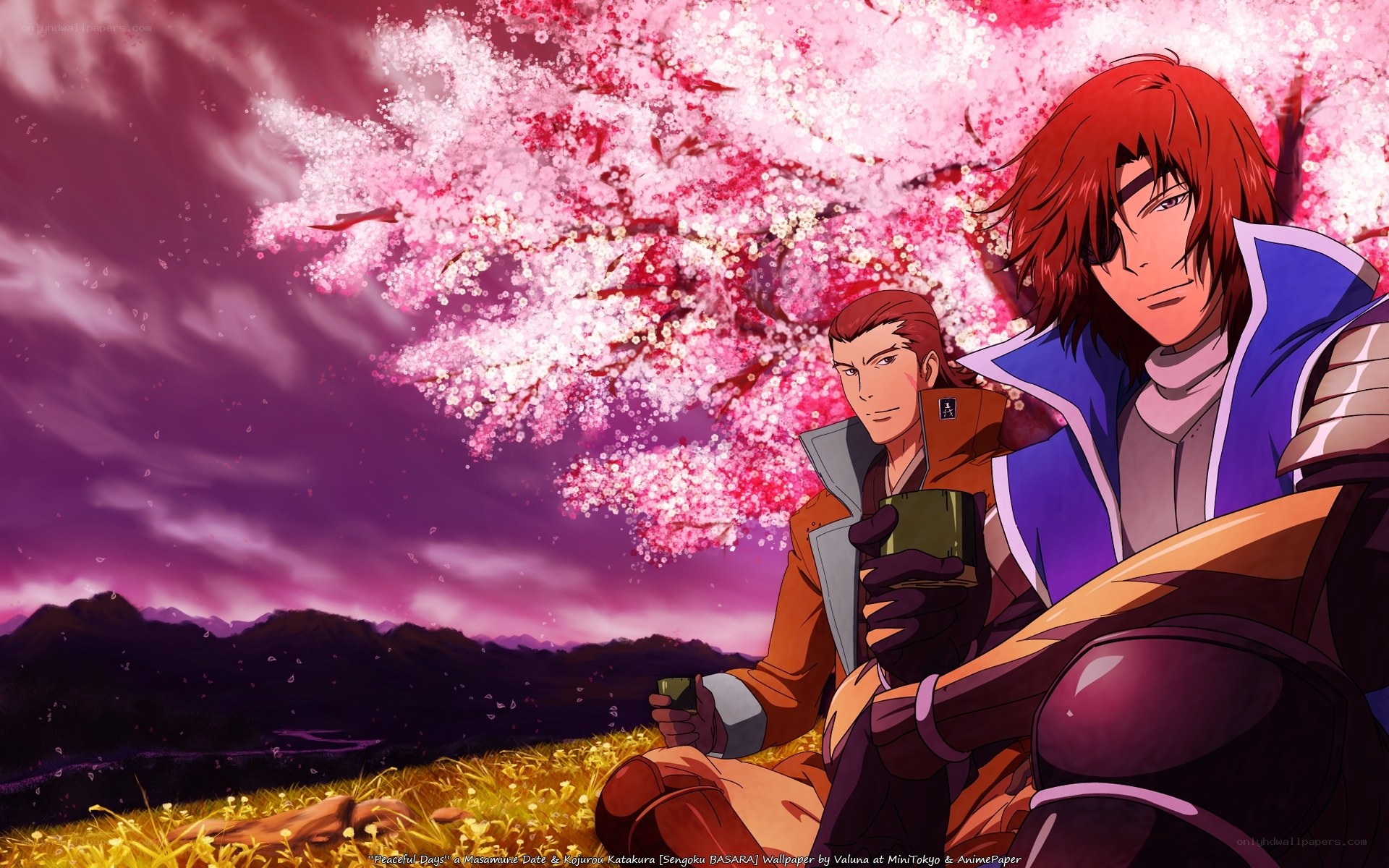 Peaceful days under cherry blossoms