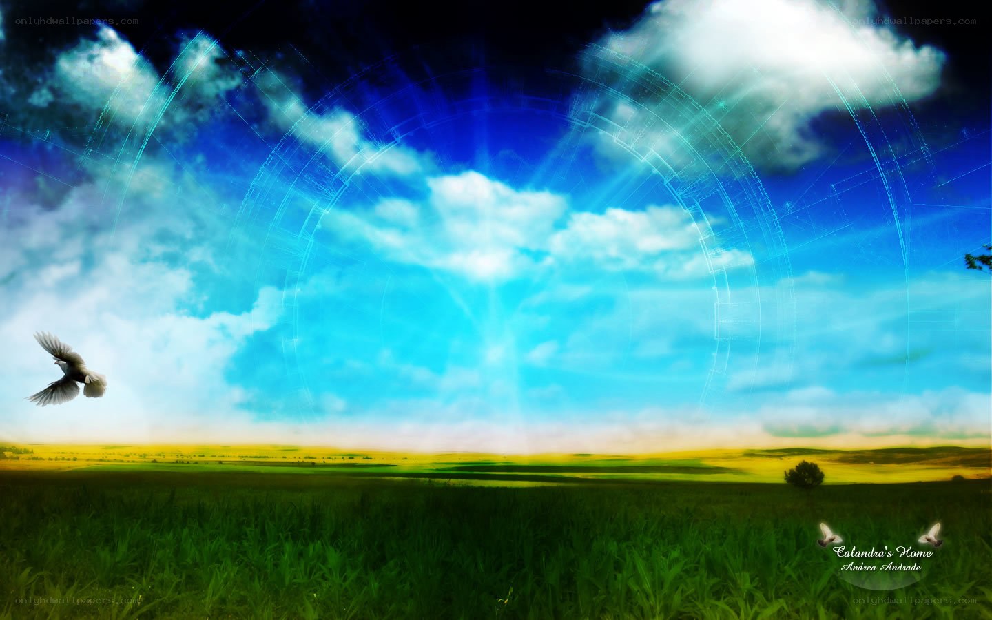 Peaceful field with glowing sky