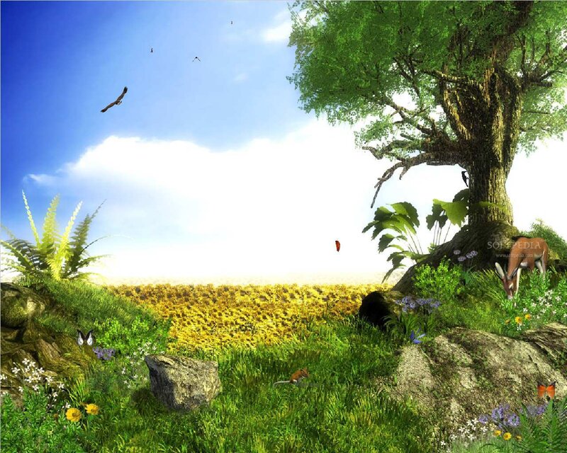 Peaceful forest landscape