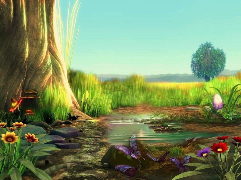 Peaceful forest stream scene